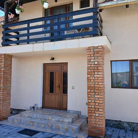 Casa Loredana Cîrţişoara Bagian luar foto