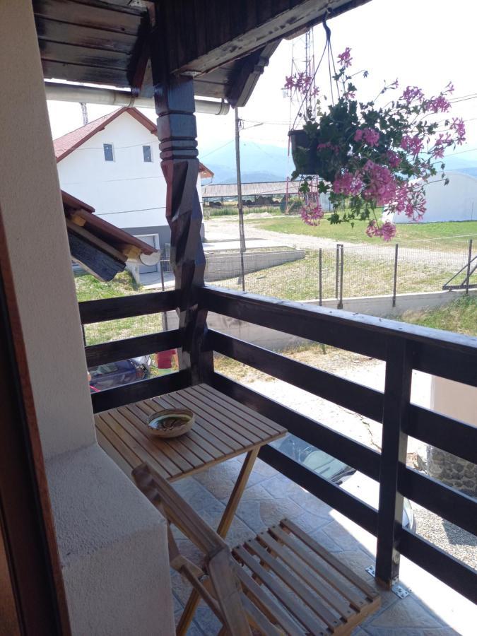 Casa Loredana Cîrţişoara Bagian luar foto