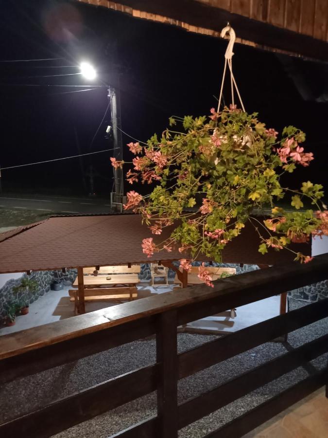 Casa Loredana Cîrţişoara Bagian luar foto
