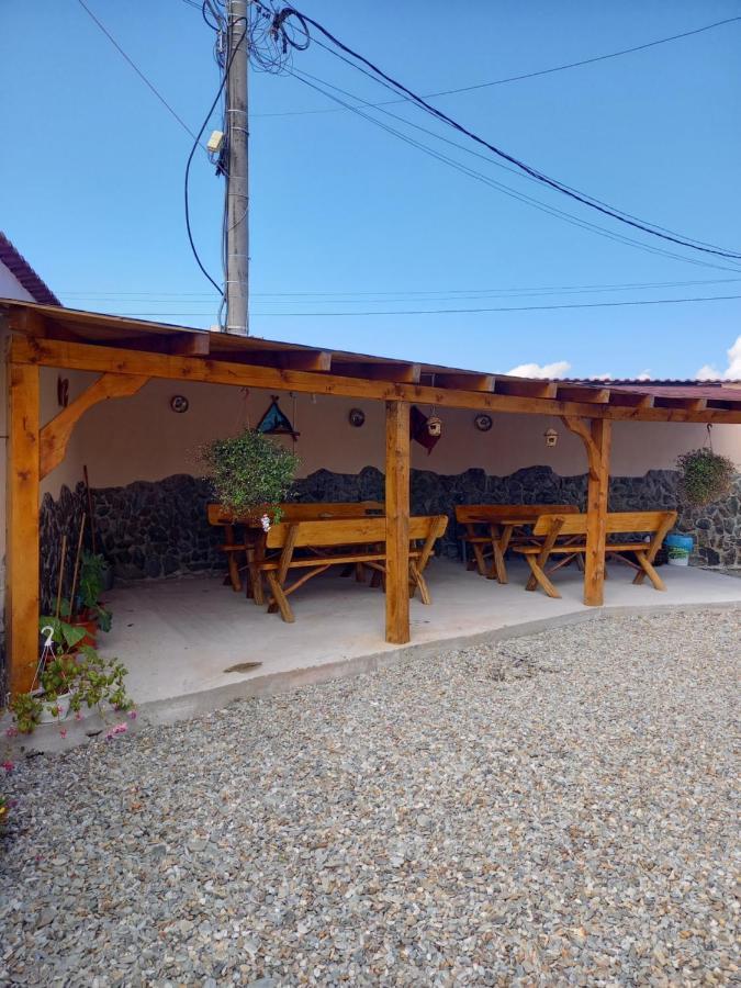 Casa Loredana Cîrţişoara Bagian luar foto