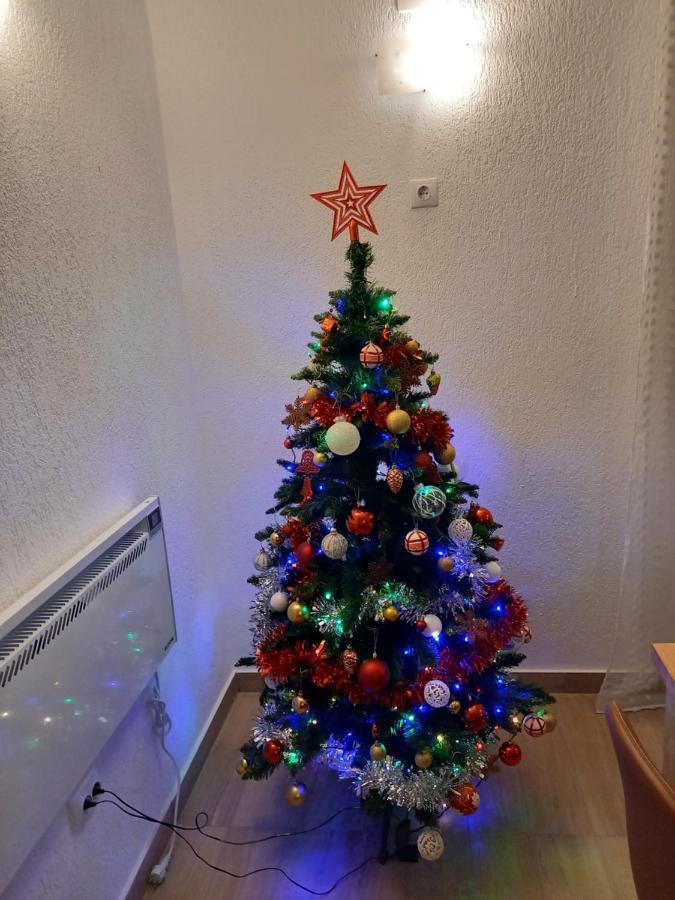 Casa Loredana Cîrţişoara Bagian luar foto