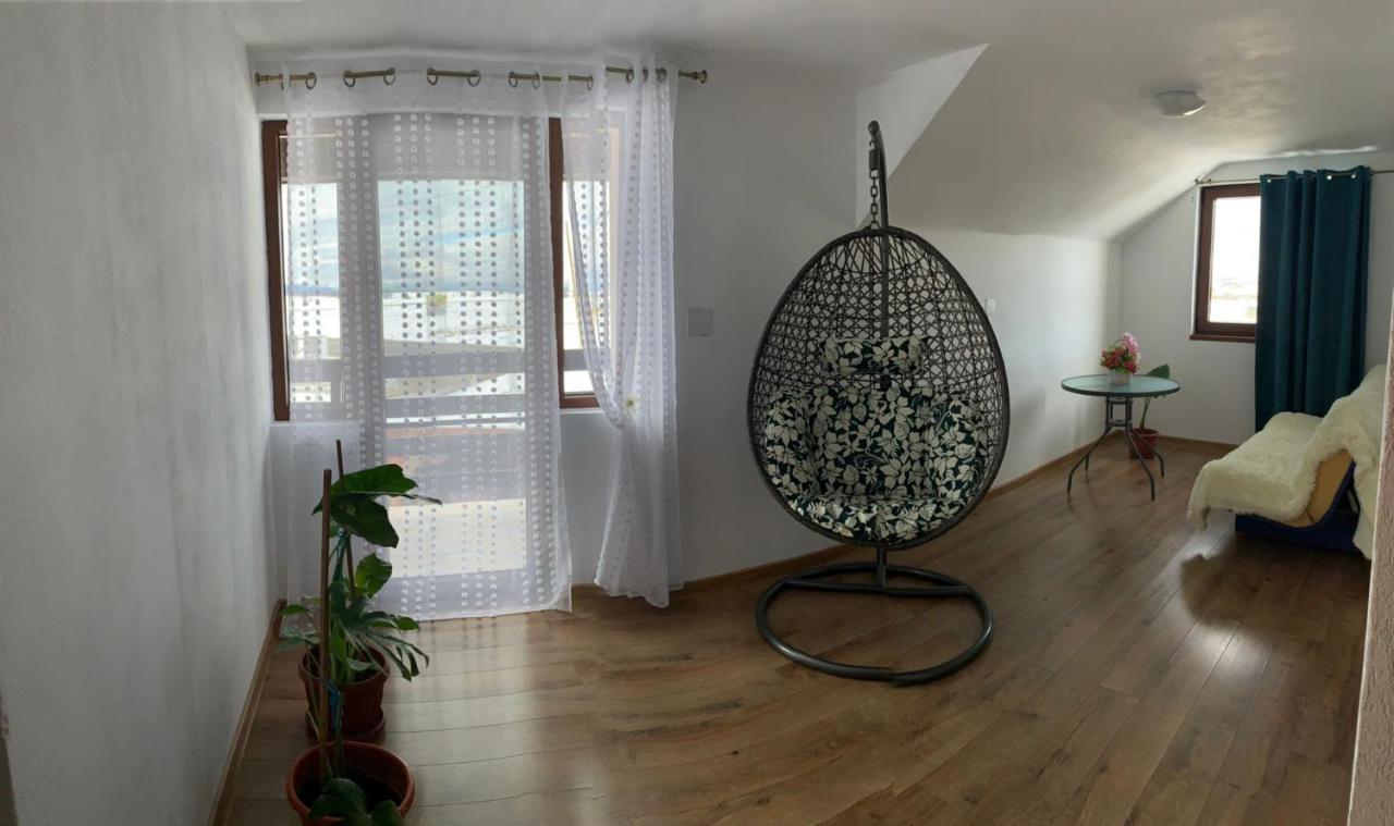 Casa Loredana Cîrţişoara Bagian luar foto