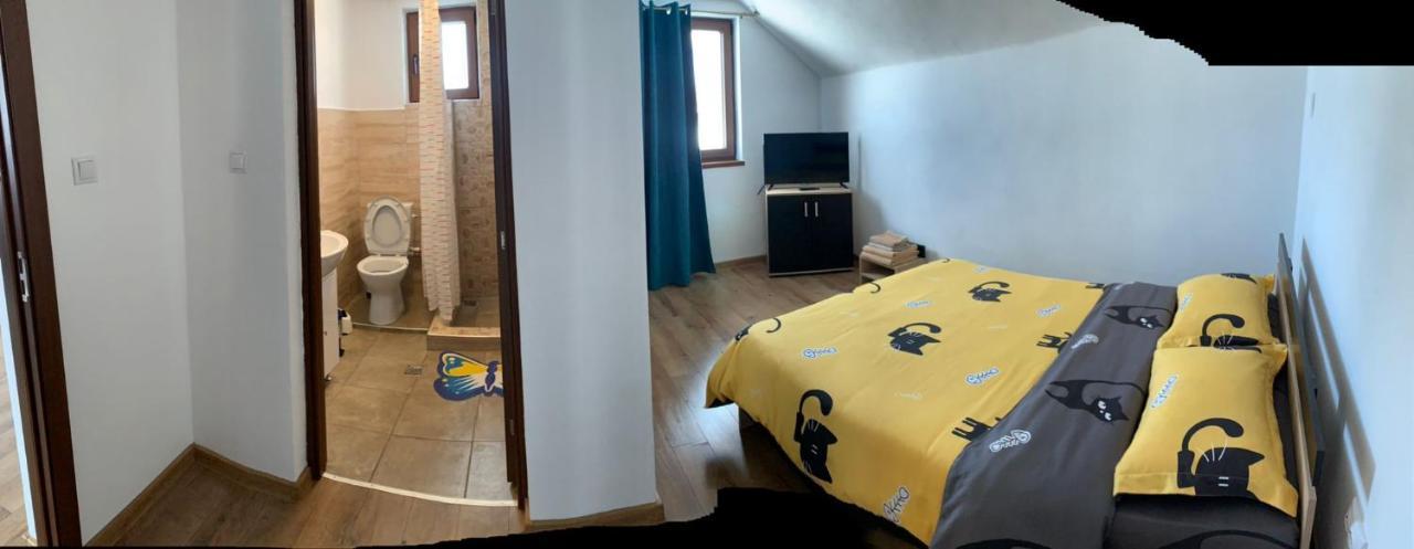 Casa Loredana Cîrţişoara Bagian luar foto