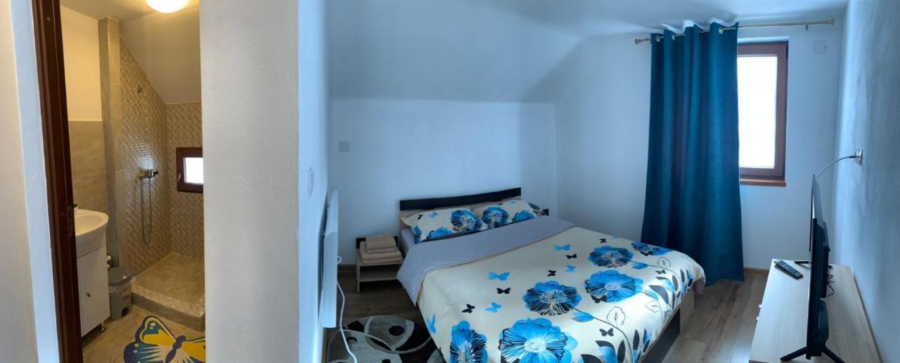 Casa Loredana Cîrţişoara Bagian luar foto