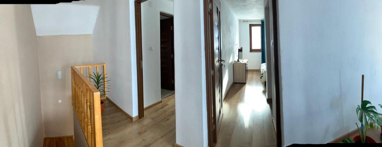 Casa Loredana Cîrţişoara Bagian luar foto