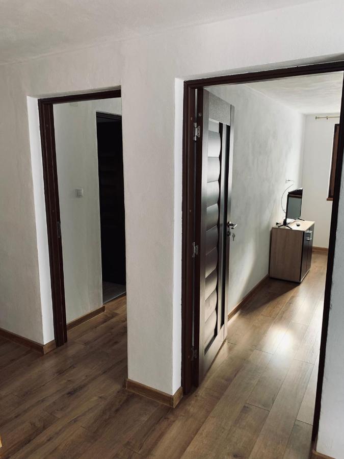 Casa Loredana Cîrţişoara Bagian luar foto