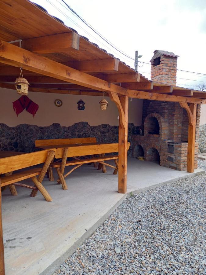 Casa Loredana Cîrţişoara Bagian luar foto