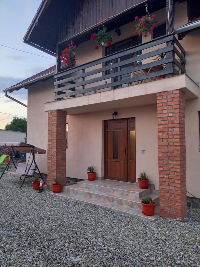 Casa Loredana Cîrţişoara Bagian luar foto