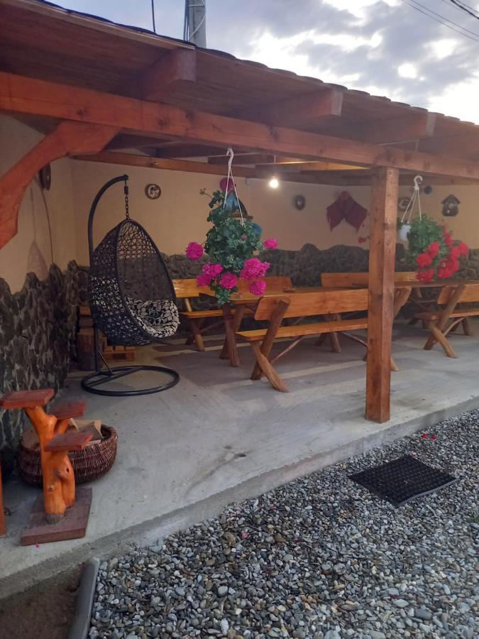 Casa Loredana Cîrţişoara Bagian luar foto