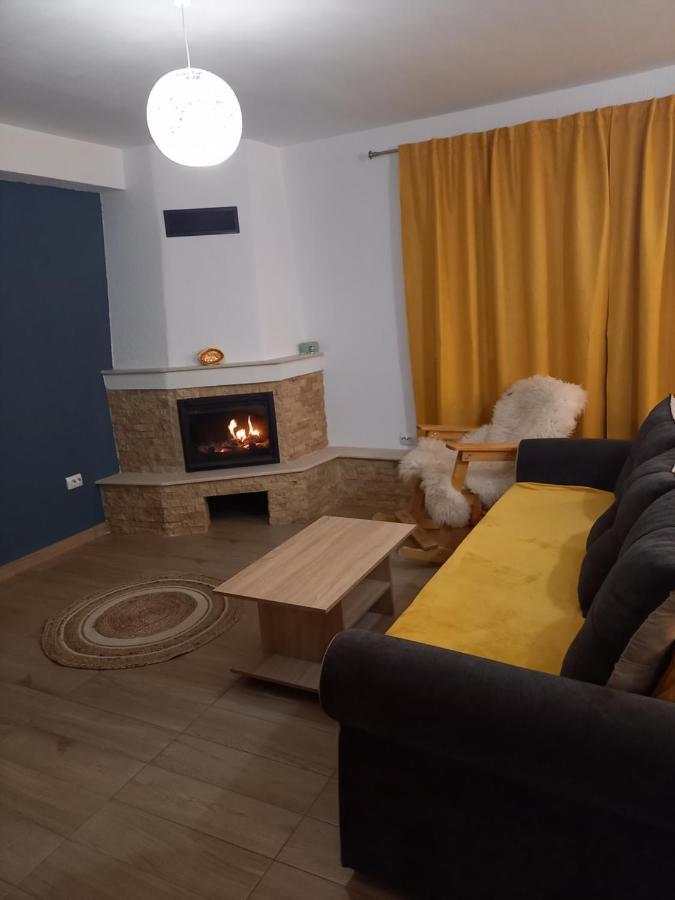 Casa Loredana Cîrţişoara Bagian luar foto