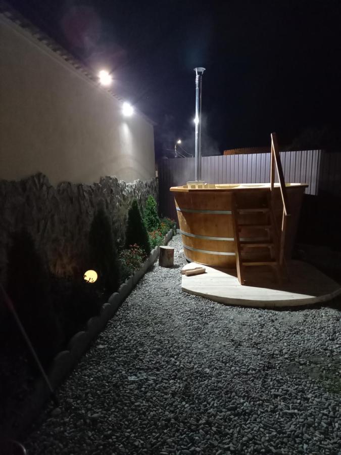 Casa Loredana Cîrţişoara Bagian luar foto