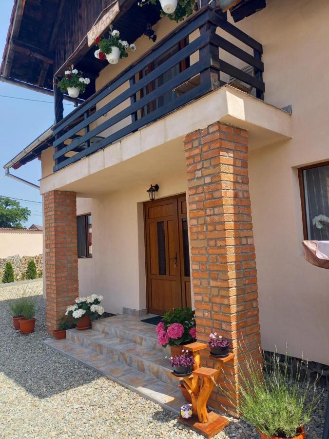 Casa Loredana Cîrţişoara Bagian luar foto