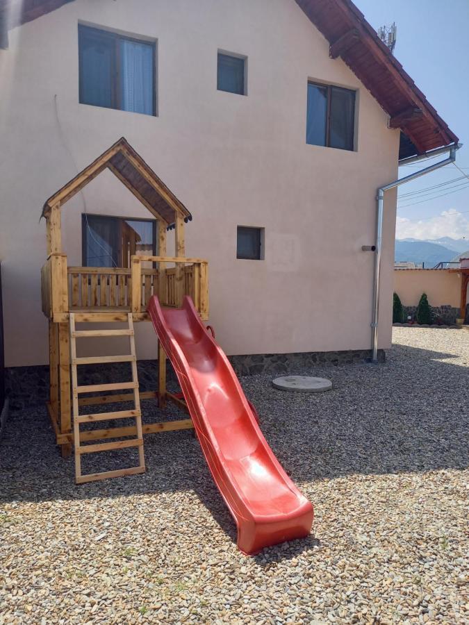 Casa Loredana Cîrţişoara Bagian luar foto