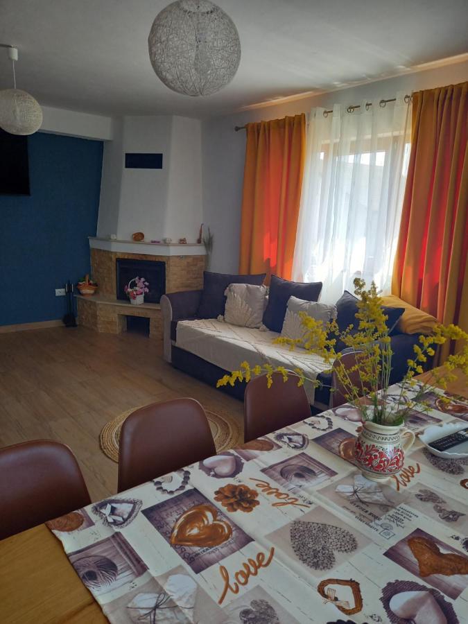 Casa Loredana Cîrţişoara Bagian luar foto
