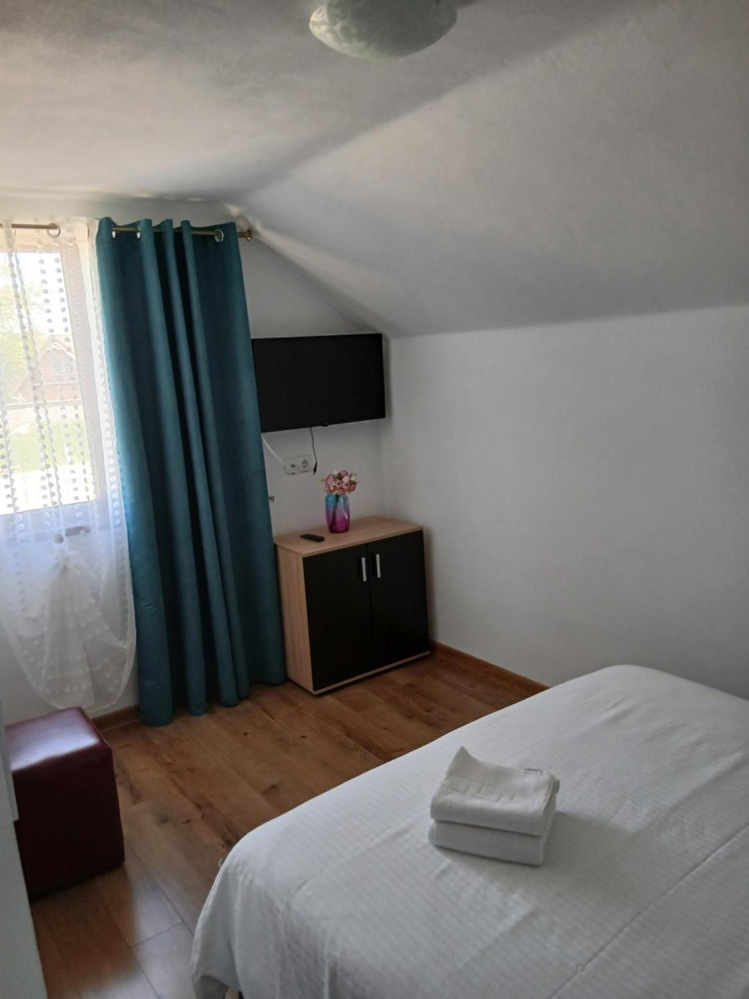 Casa Loredana Cîrţişoara Bagian luar foto